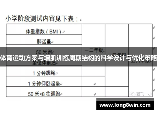 体育运动方案与增肌训练周期结构的科学设计与优化策略